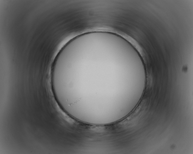 X0000102001006200808081656