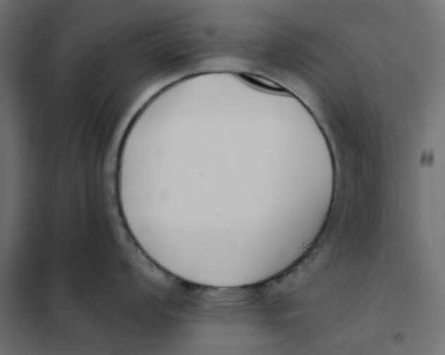 X0000102001008200808081656