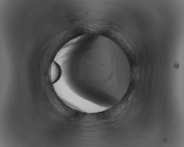 X0000102001009200808081655