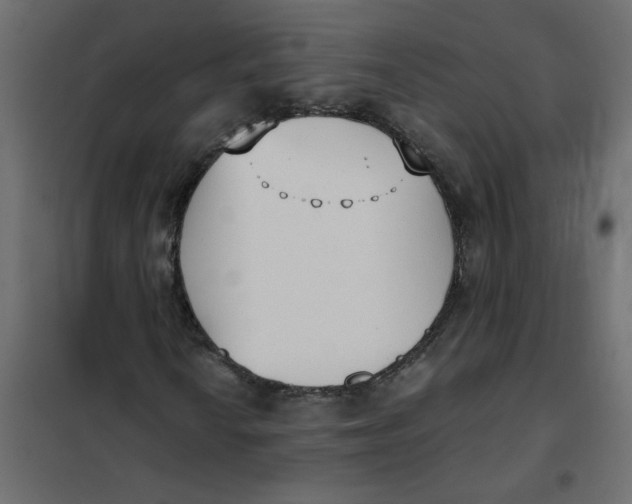 X0000102001010200808081655