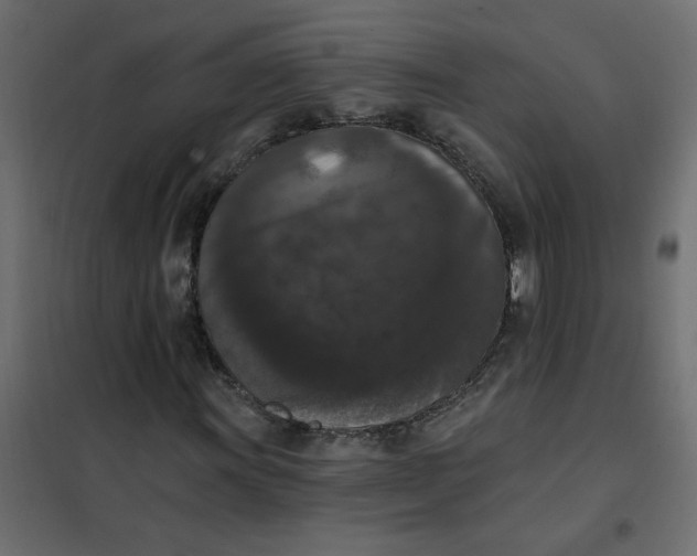 X0000102001011200808081655