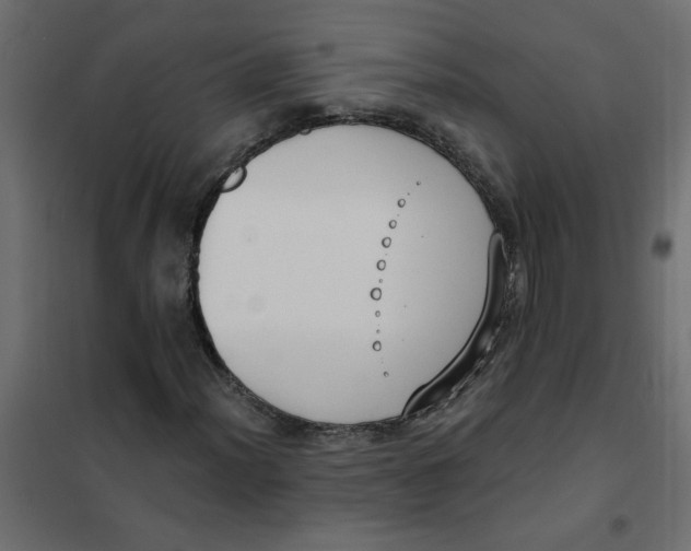 X0000102001012200808081655