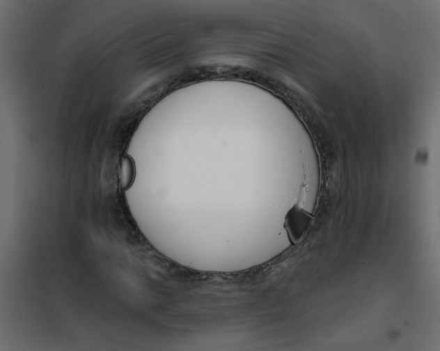 X0000102001014200808081655