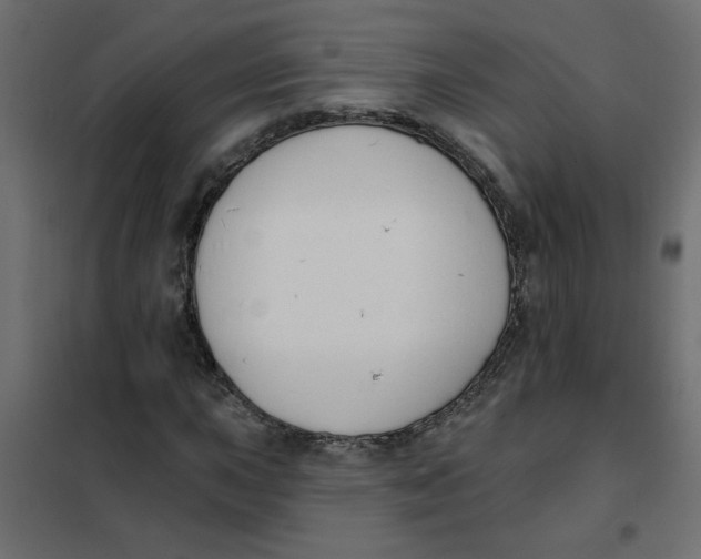 X0000102001015200808081655