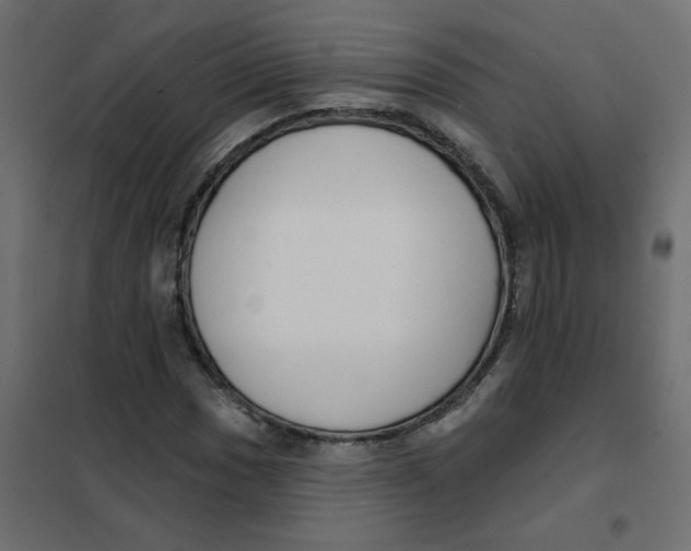 X0000102001017200808081655