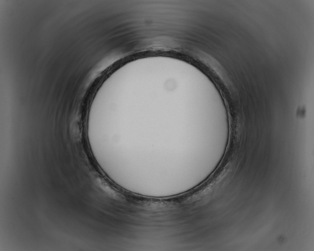 X0000102001018200808081655