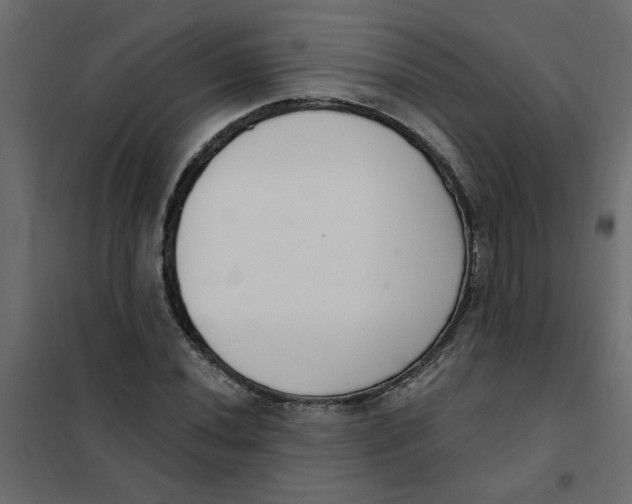 X0000102001020200808081655