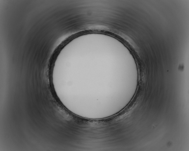 X0000102001022200808081655