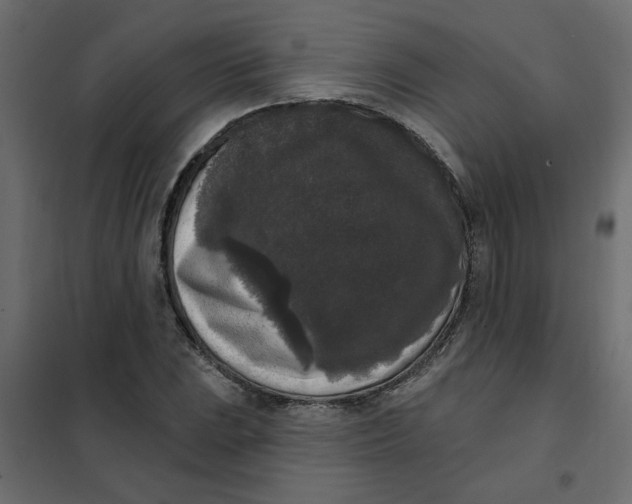 X0000102001023200808081655