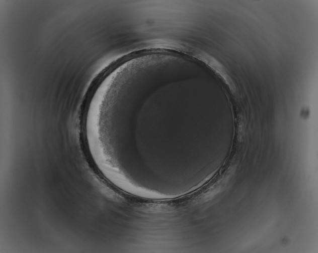 X0000102001024200808081655