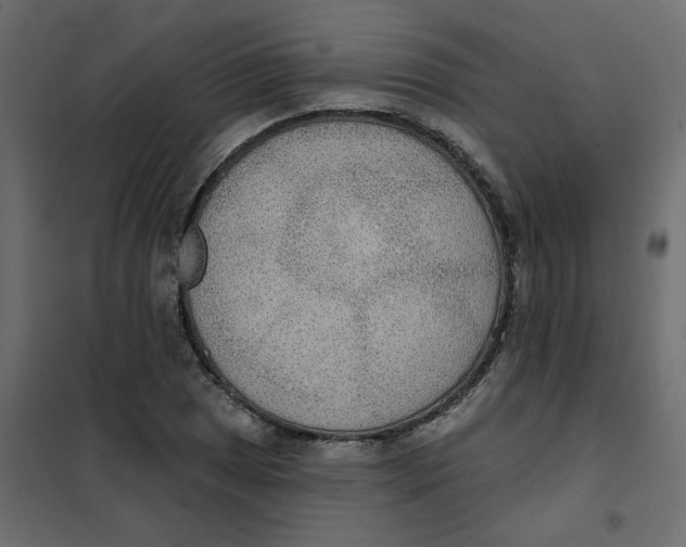 X0000102001025200808081655