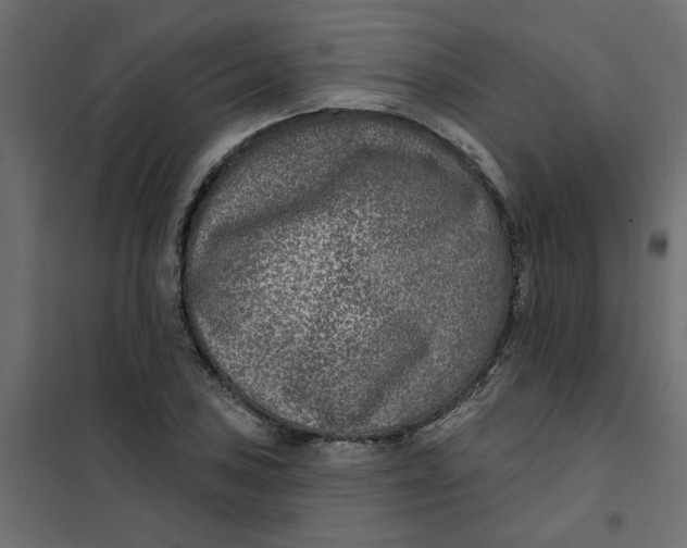 X0000102001027200808081655