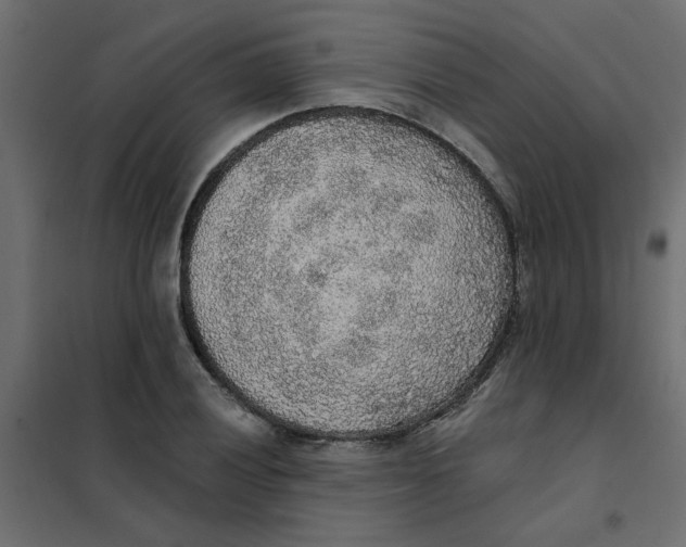 X0000102001028200808081655