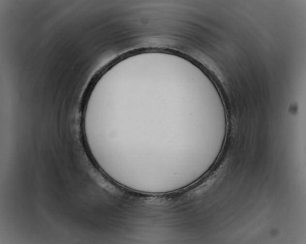 X0000102001029200808081655