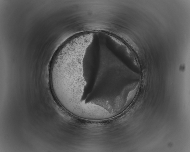 X0000102001031200808081655