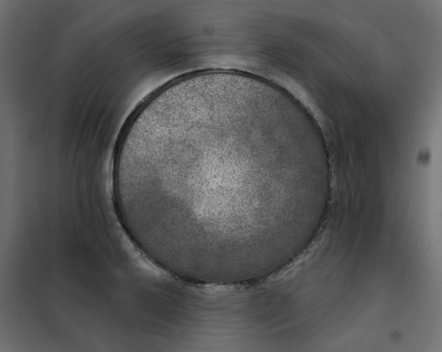 X0000102001032200808081655