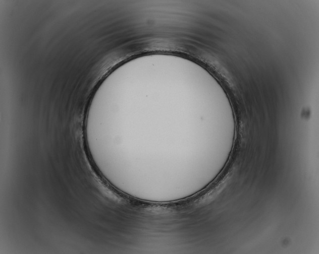 X0000102001033200808081655