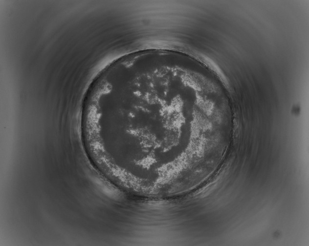 X0000102001035200808081655