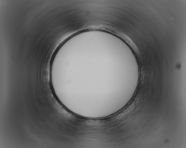 X0000102001036200808081655