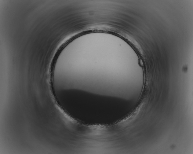 X0000102001037200808081655