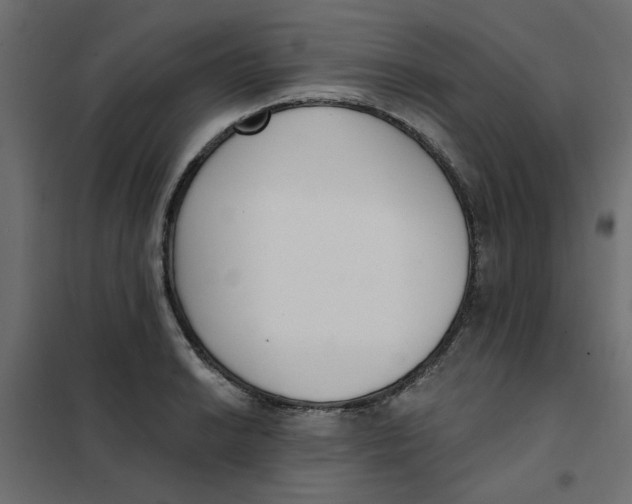 X0000102001038200808081655