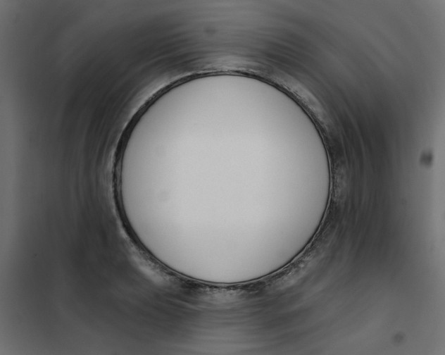 X0000102001039200808081655