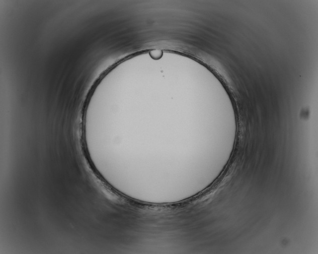 X0000102001040200808081655