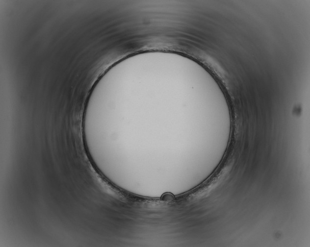 X0000102001041200808081655