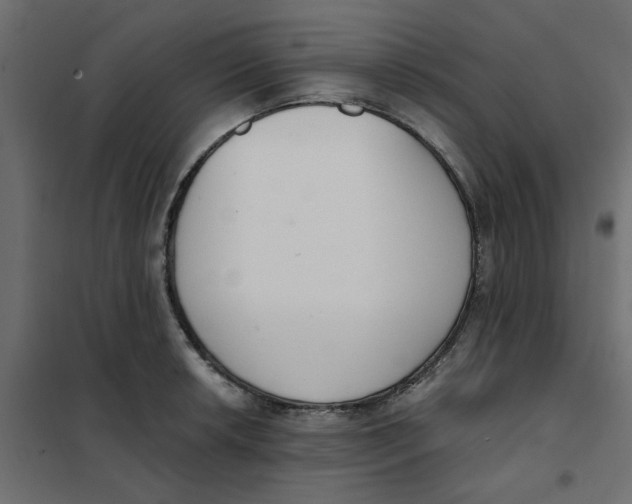 X0000102001042200808081655