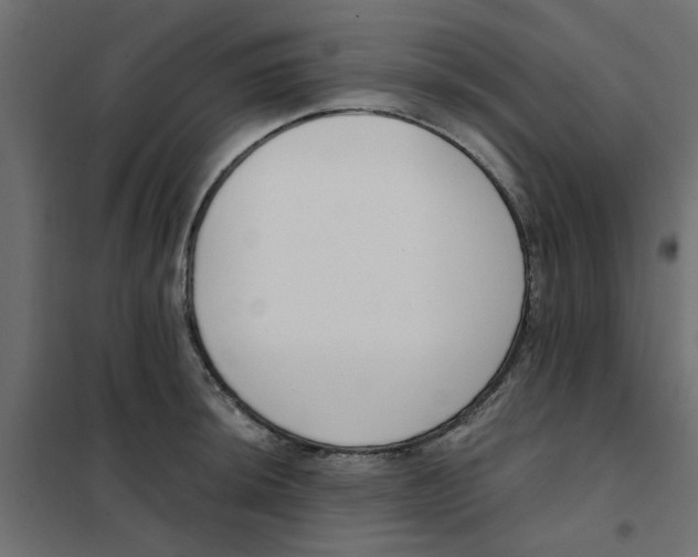 X0000102001044200808081655