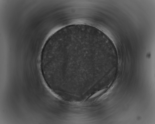 X0000102001045200808081655