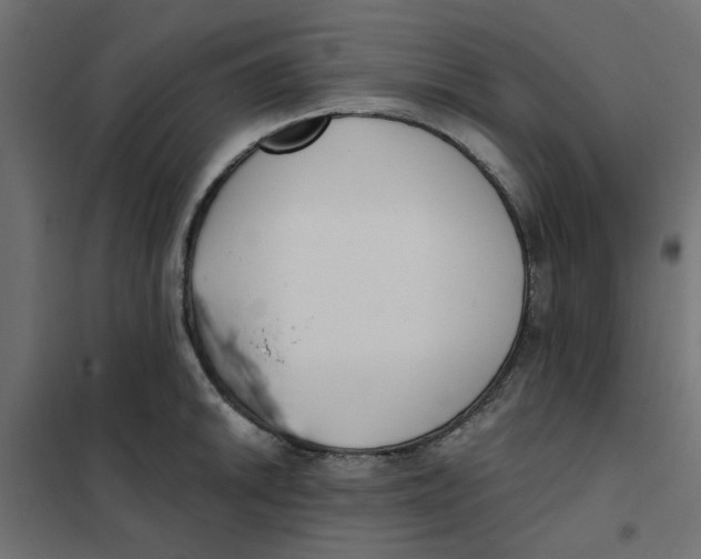 X0000102001046200808081655