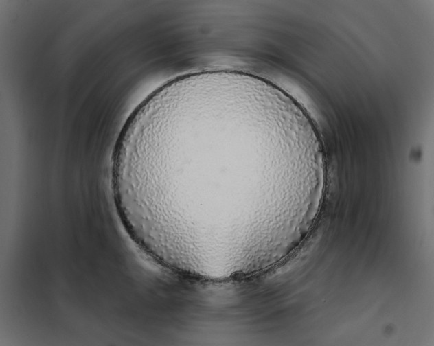 X0000102001047200808081655