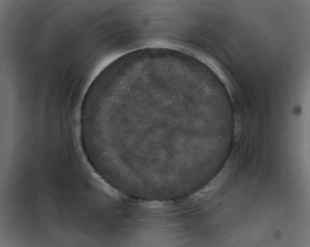 X0000102001048200808081655