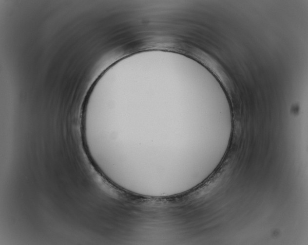 X0000102001050200808081655