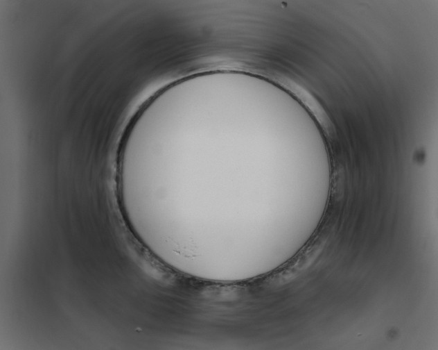 X0000102001051200808081655