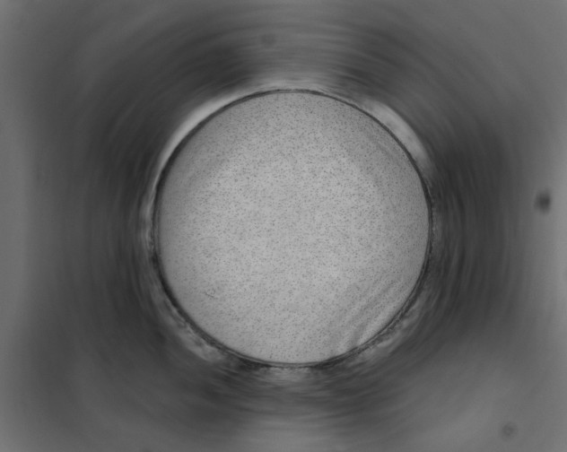 X0000102001052200808081655