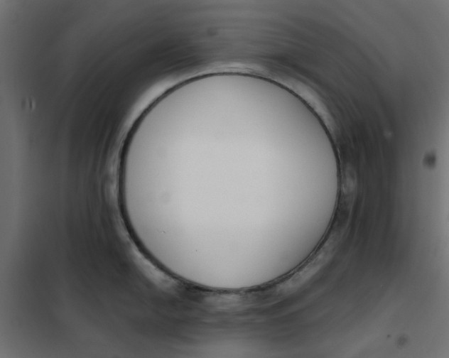 X0000102001054200808081655