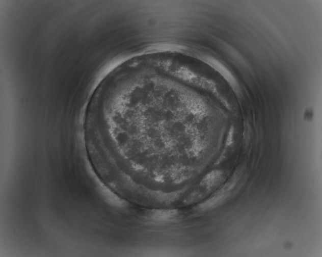 X0000102001055200808081656