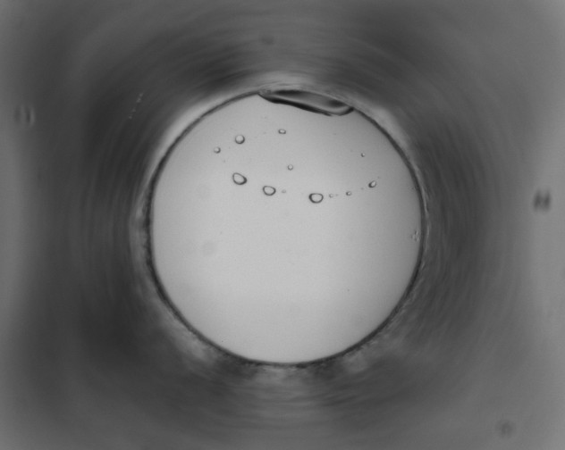 X0000102001056200808081656