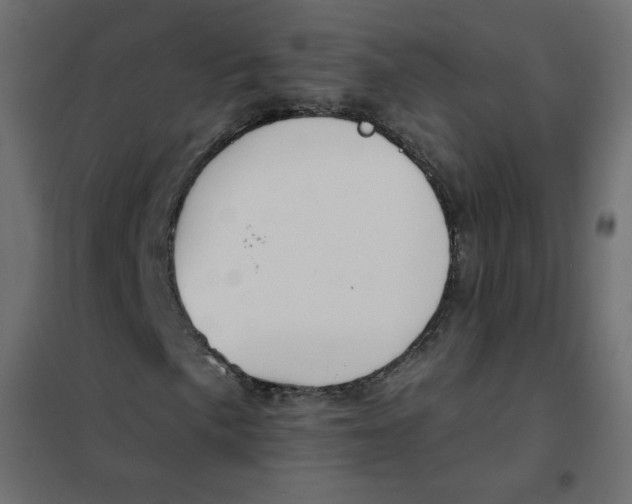 X0000102001057200808081655