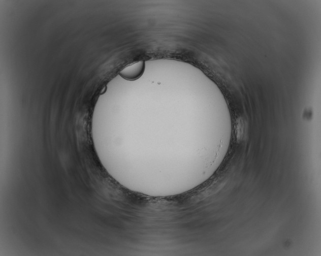 X0000102001059200808081655