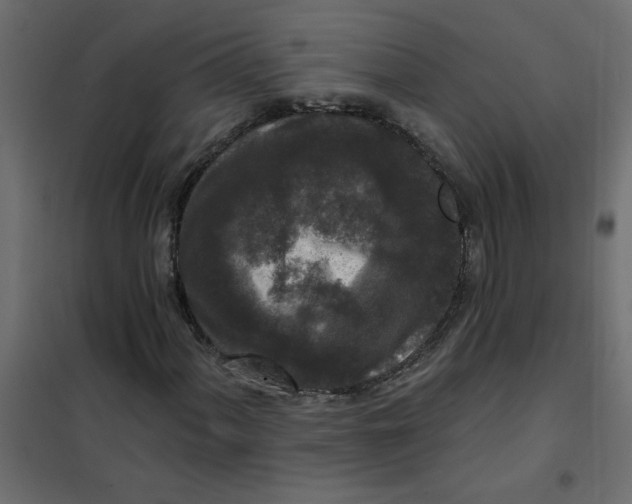 X0000102001060200808081655