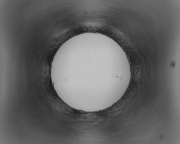 X0000102001061200808081655