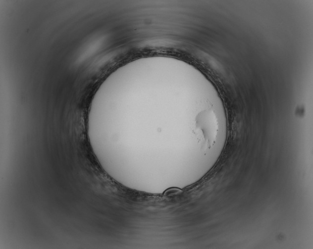 X0000102001062200808081655