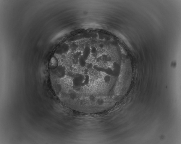 X0000102001063200808081655