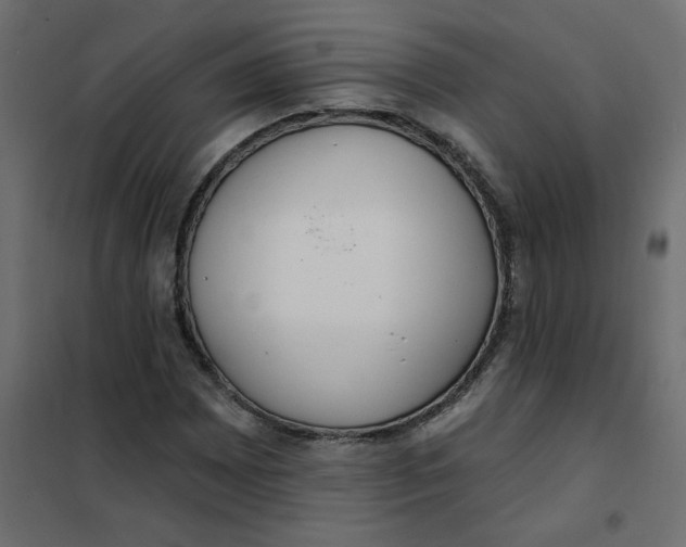 X0000102001065200808081655