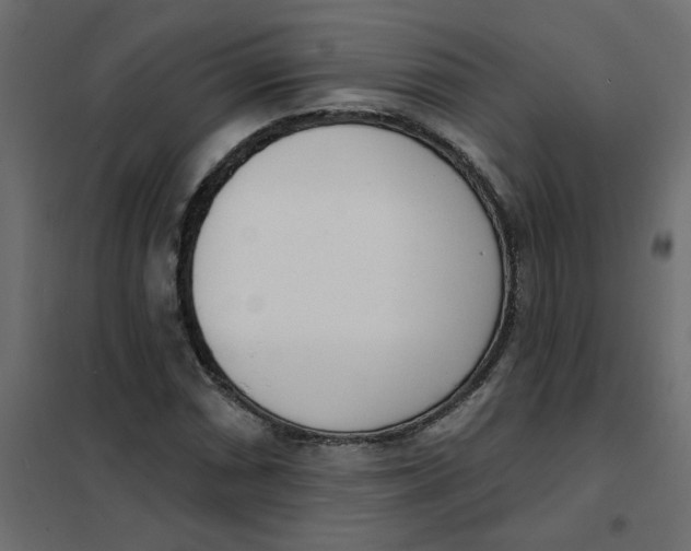 X0000102001066200808081655