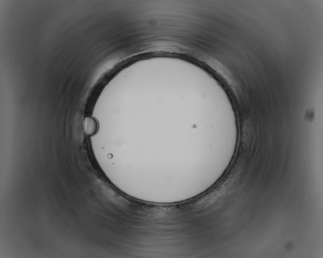 X0000102001067200808081655