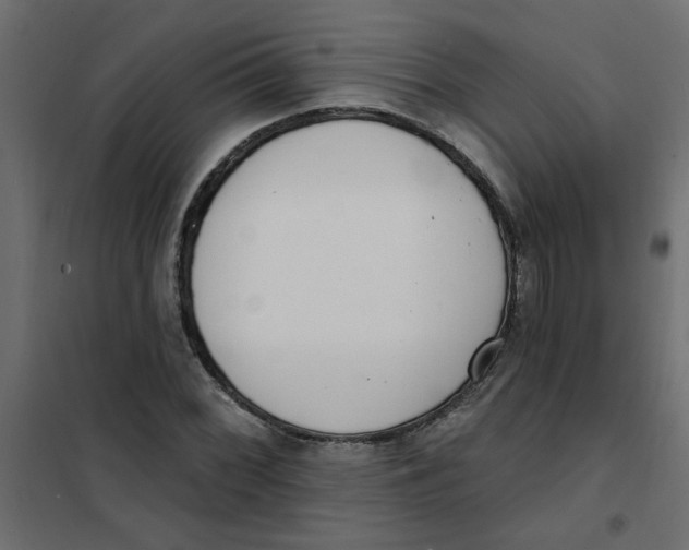 X0000102001068200808081655